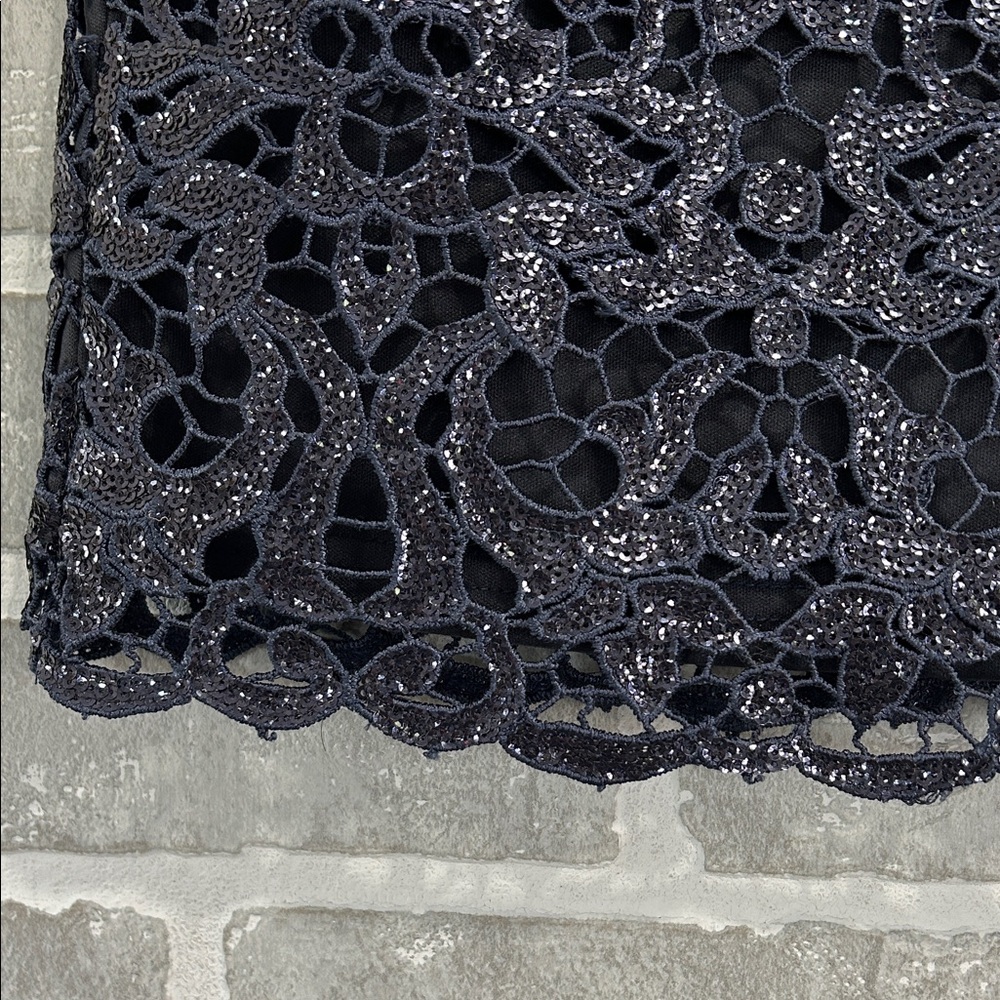 Anthropologie J.O.A. Navy Lace Mini Skirt | Size Small | Lined - Picture 4 of 9